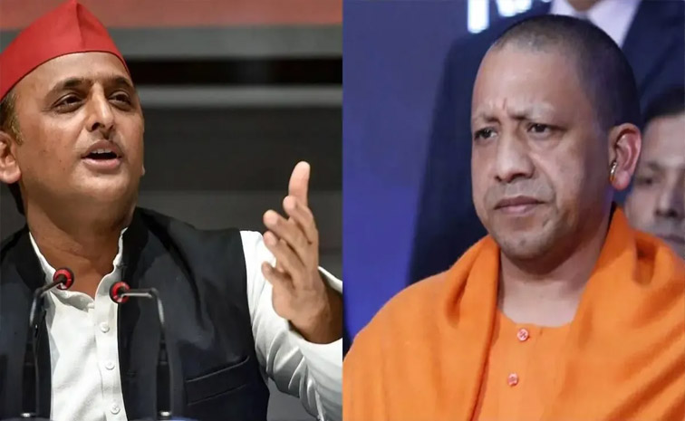 up-election.jpg
