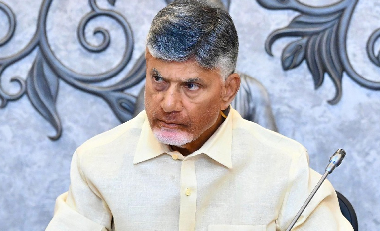 Chandrababu_Volunteers.jpg