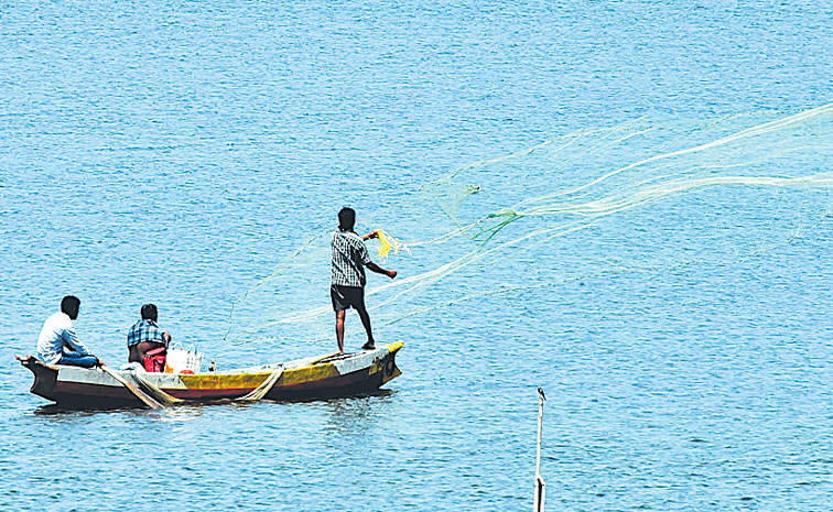 World-Fisheries-Day.jpg