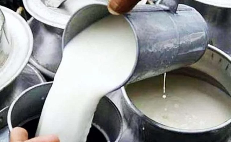 milk01.jpg