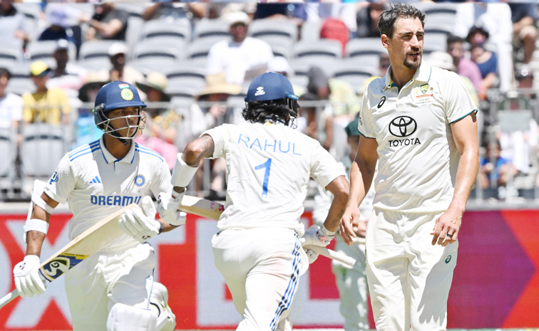 starc.jpg