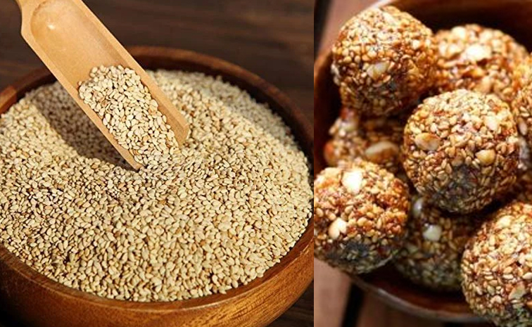 winter-sesame.jpg