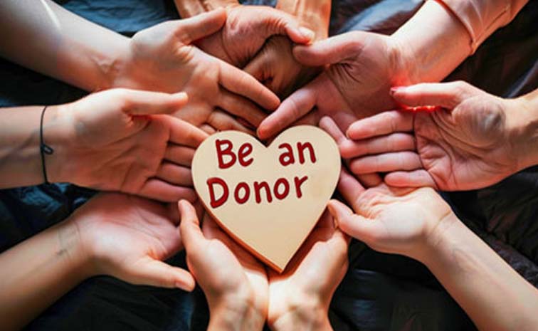 donar1.jpg