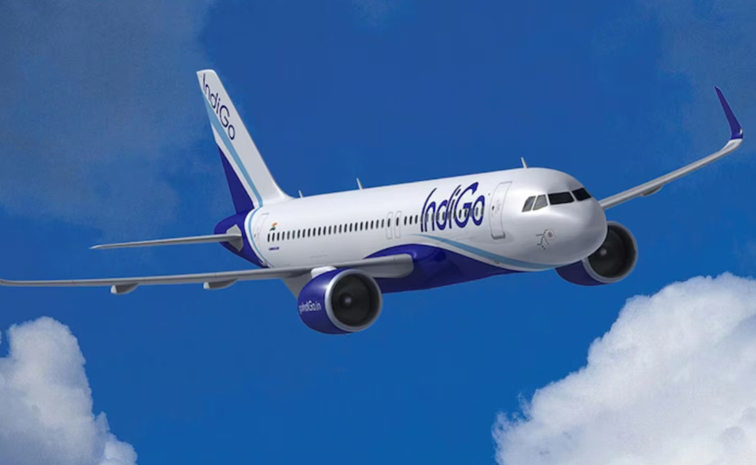 indigo.jpg