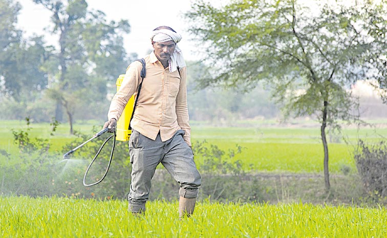 FARMER.jpg