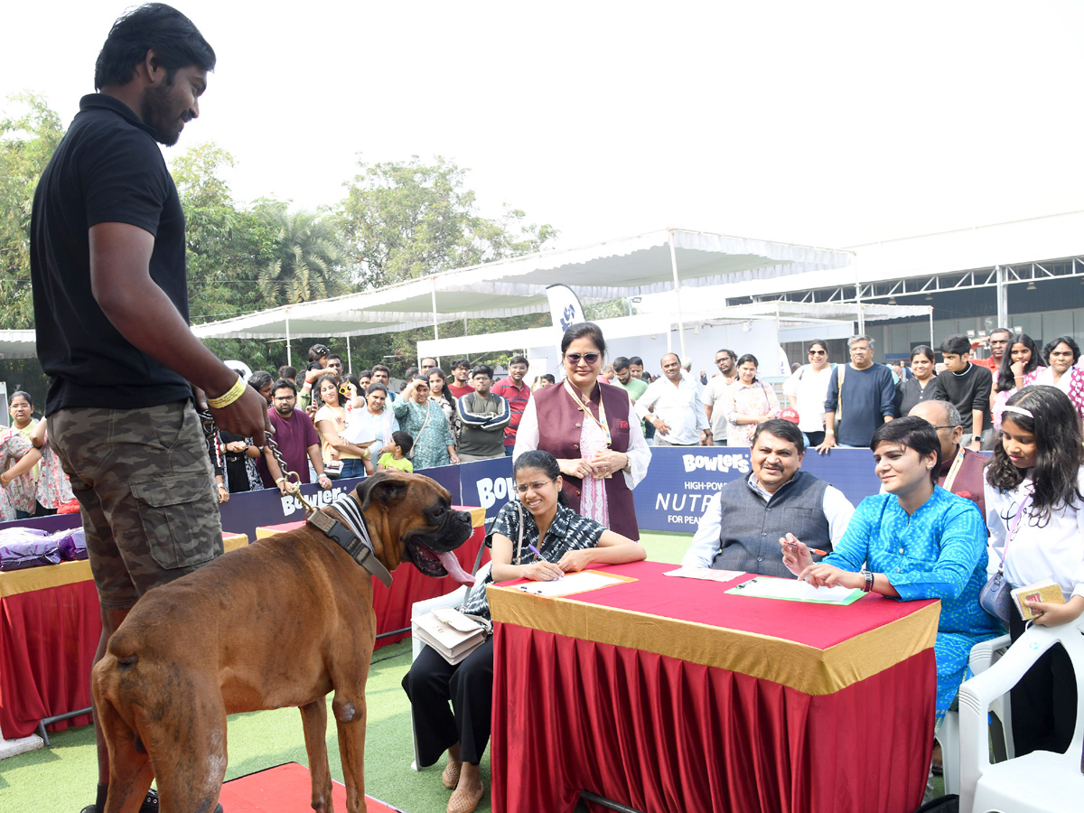 Pedigree_20Pro_20HyCan_2020_2024_20_20Grand_20Pet_20Show_20cats_20and_20dogs_20Photos_20_2813_29.jpg 14