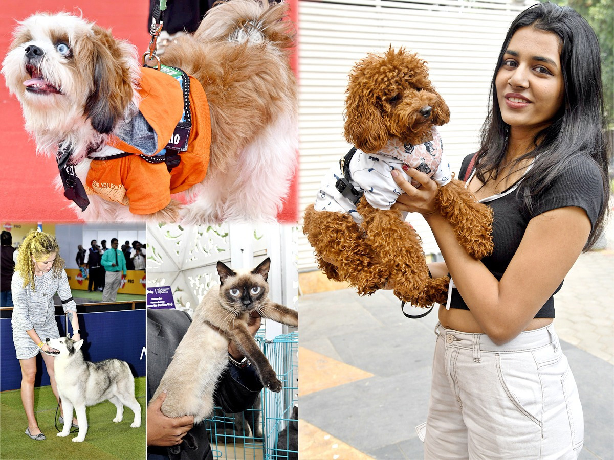 Pedigree_20Pro_20HyCan_2020_2024_20_20Grand_20Pet_20Show_20cats_20and_20dogs_20Photos_20_2824_29.jpg 1