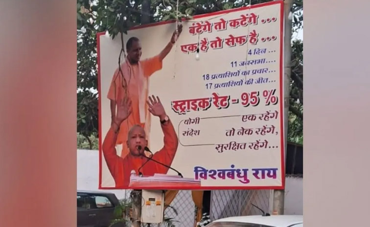yogi-main.jpg