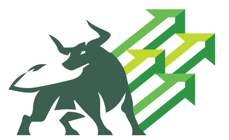 BULL.jpg