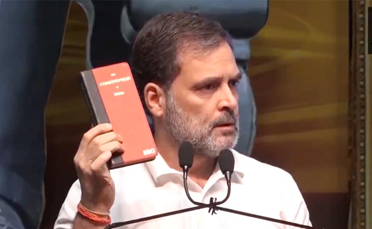 Rahul.jpg