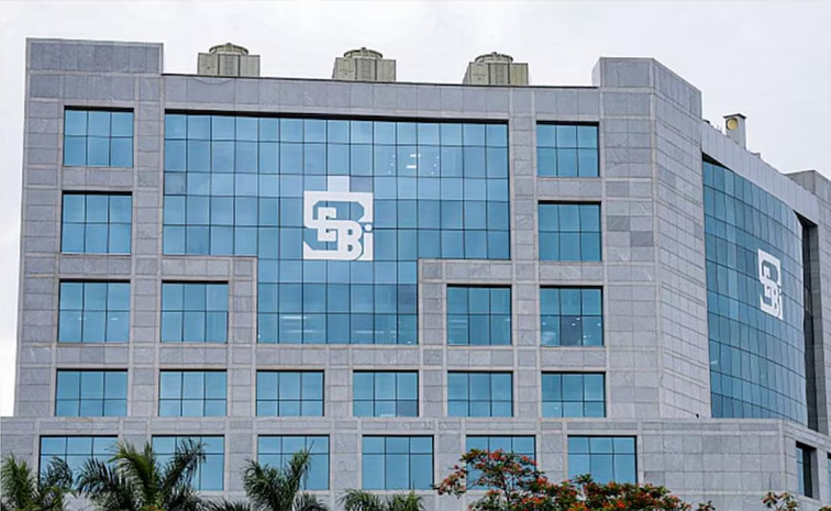 sebi01.jpg