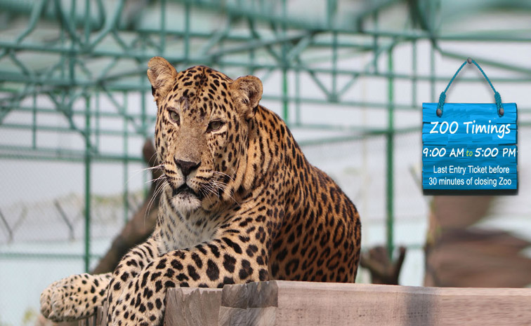 zoo-park.jpg