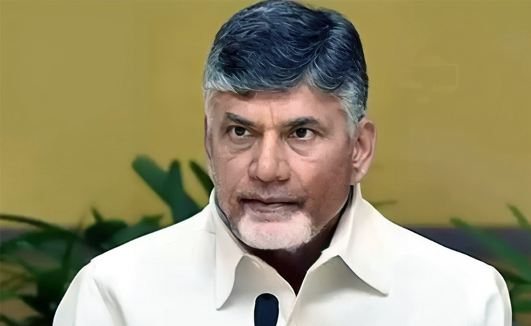 Chandrababu.jpg