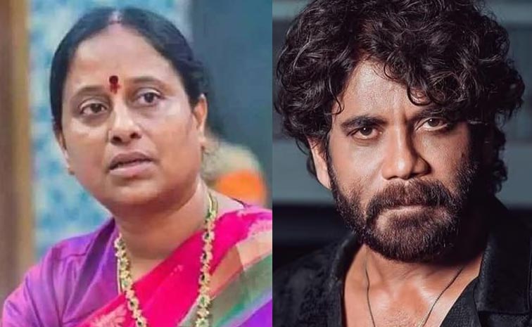 Nagarjuna_Konda_Surekha.jpg