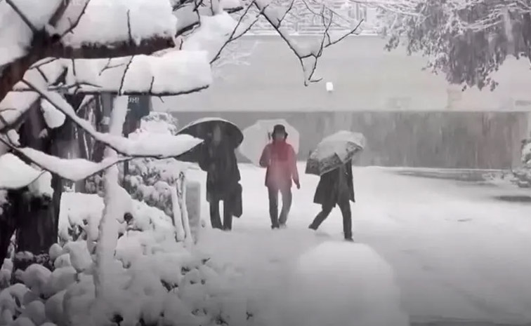 snow-main.jpg