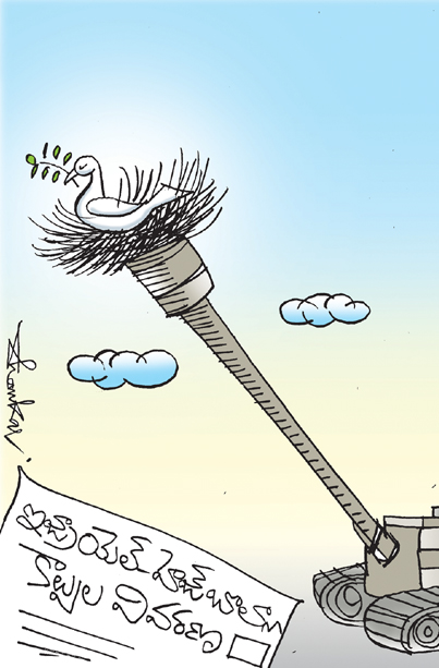 Cartoon_Isreil.jpg