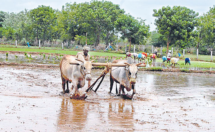 Farmer-Nagali.jpg