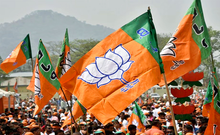 bjp.jpg