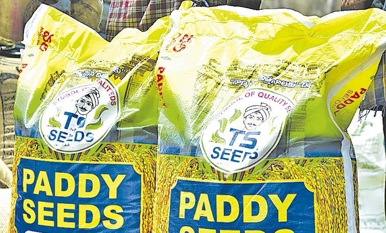 PADDY-SEEDS-BAG-5.jpg