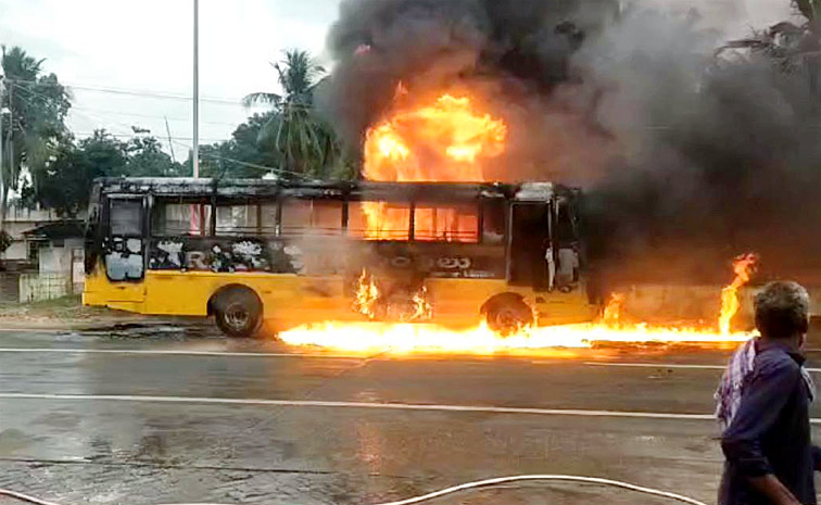 bus.jpg