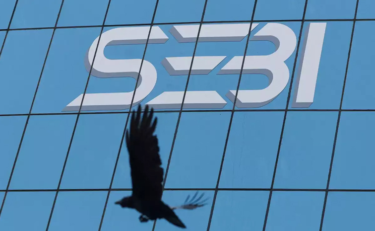 sebi.jpg