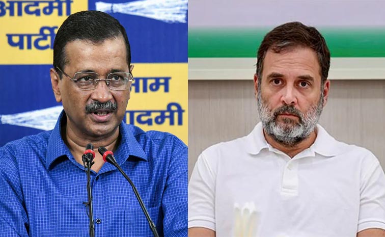 AAP.jpg