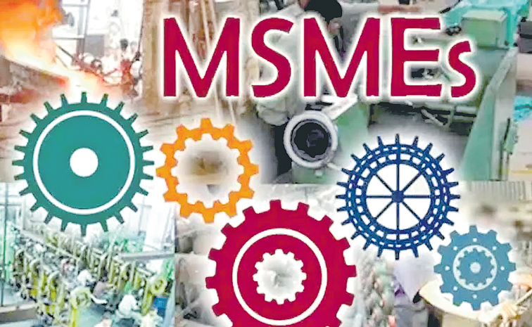 MSMES1.jpg