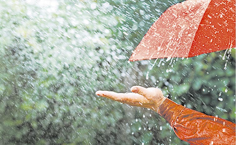 RAIN11.jpg