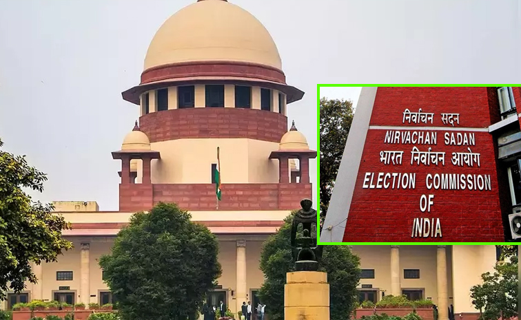 SC_CJI_EC_Case.jpg
