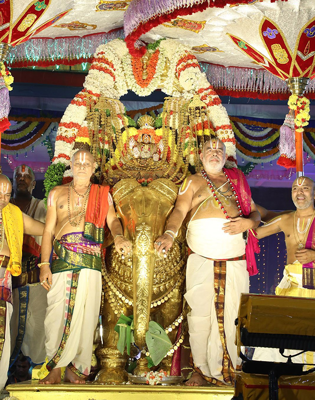Tiruchanur_20Sri_20Padmavathi_20Ammavari_20Brahmotsavam_202024_22.jpg 17
