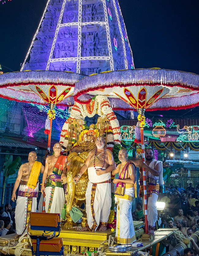 Tiruchanur_20Sri_20Padmavathi_20Ammavari_20Brahmotsavam_202024_29.jpg 23
