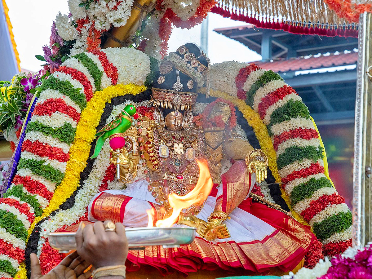 Tiruchanur_20Sri_20Padmavathi_20Ammavari_20Brahmotsavam_202024_4.jpg 4