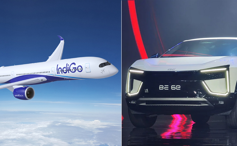 indigo.jpg