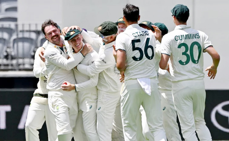 starc.jpg