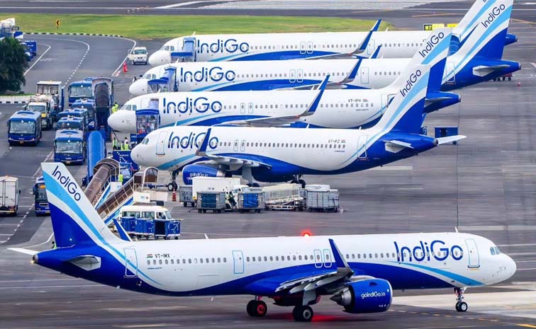 Indigo.jpg