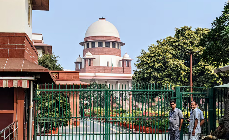 SC_MP_HC_Lady_Judge_Case.jpg