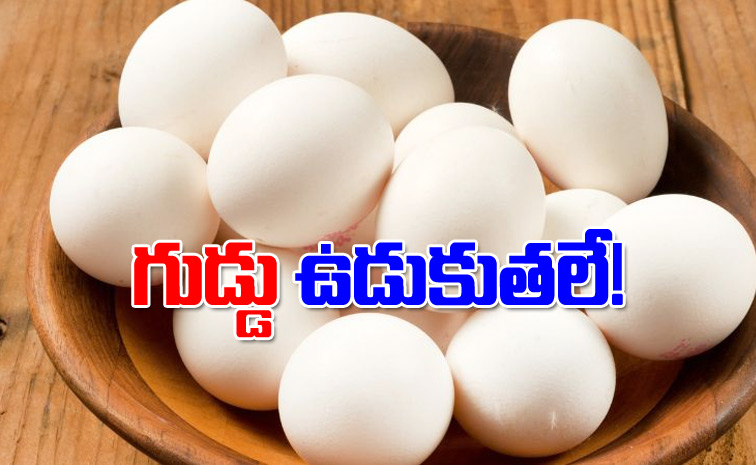 Eggs1.jpg