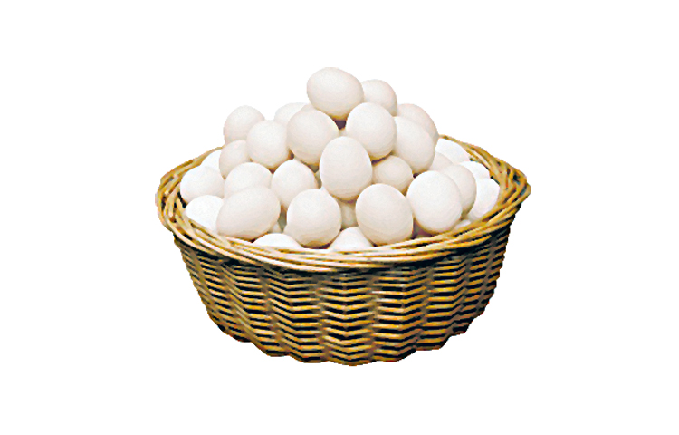 egg.jpg