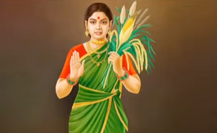 greensaree1.jpg