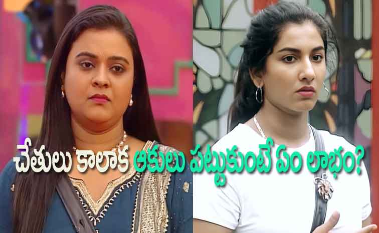 VISHNUROHINI.jpg