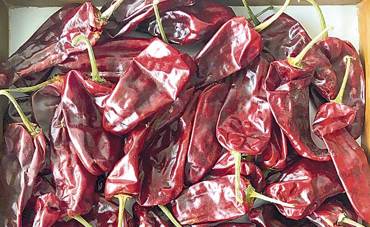 CHAPATA-MIRCHI.jpg