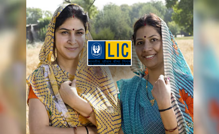 lic02.jpg