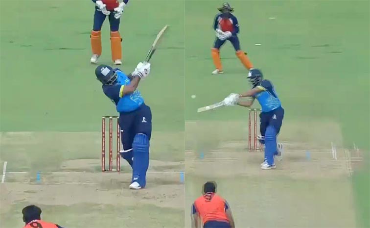shami_0.jpg