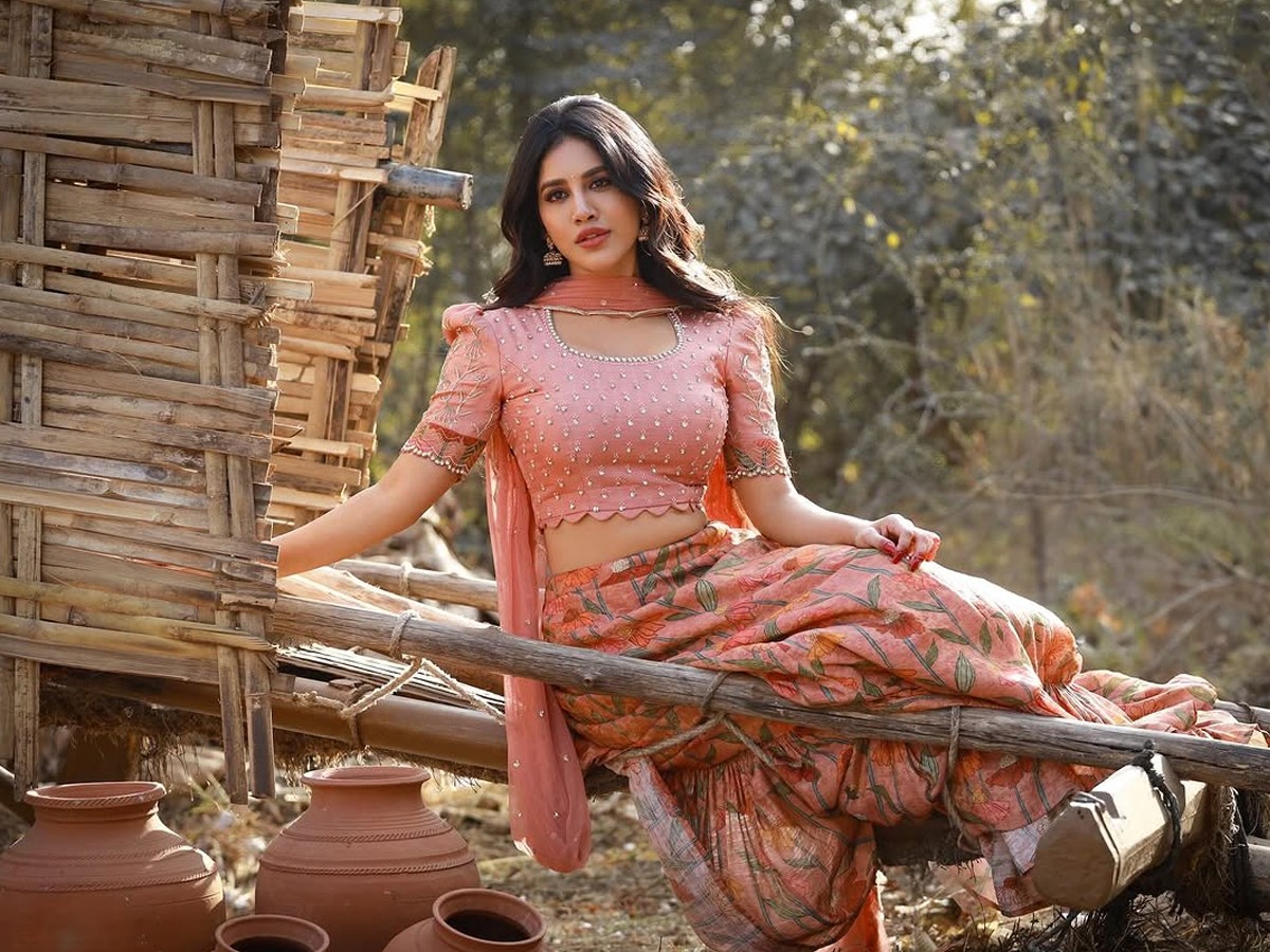 Nabha-Natesh-21.jpg 22