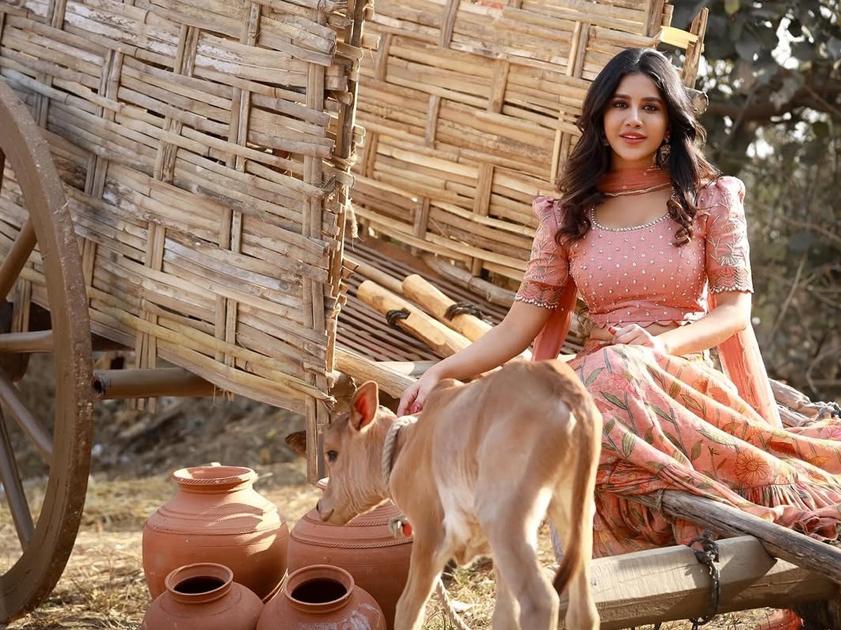 Nabha-Natesh-22.jpg 23