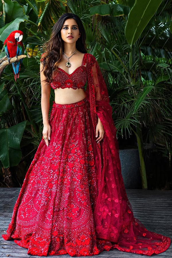 Nabha-Natesh-25.jpg 26