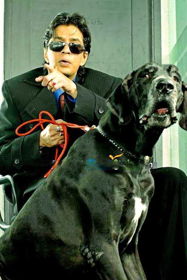 Raghuvaran-12_0.jpg 13