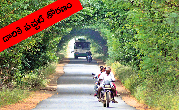 garladinne_20road.jpg