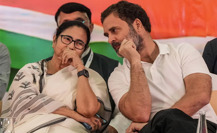 rajul-mamata.jpg