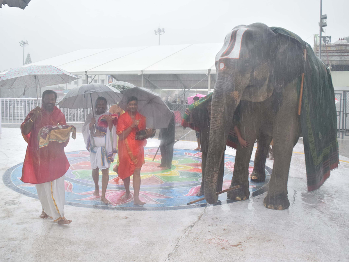 Heavy_20rain_20in_20tirumala_20today_20photos_15.jpg 15